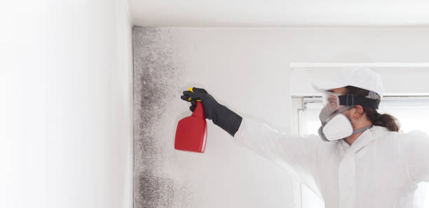Best Crawl Space Mold Remediation in Ware Shoals, SC